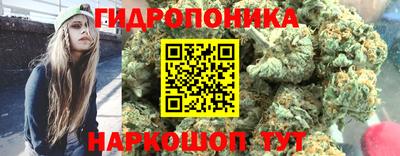 jwh Севастополь