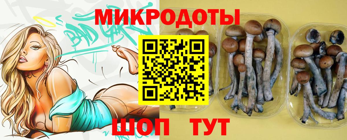 Галлюциногенные грибы прущие грибы  Вход с VPN  Галлюциногенные грибы Cubensis  Сарапул 